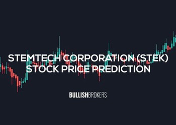 STEK Stock Price Prediction